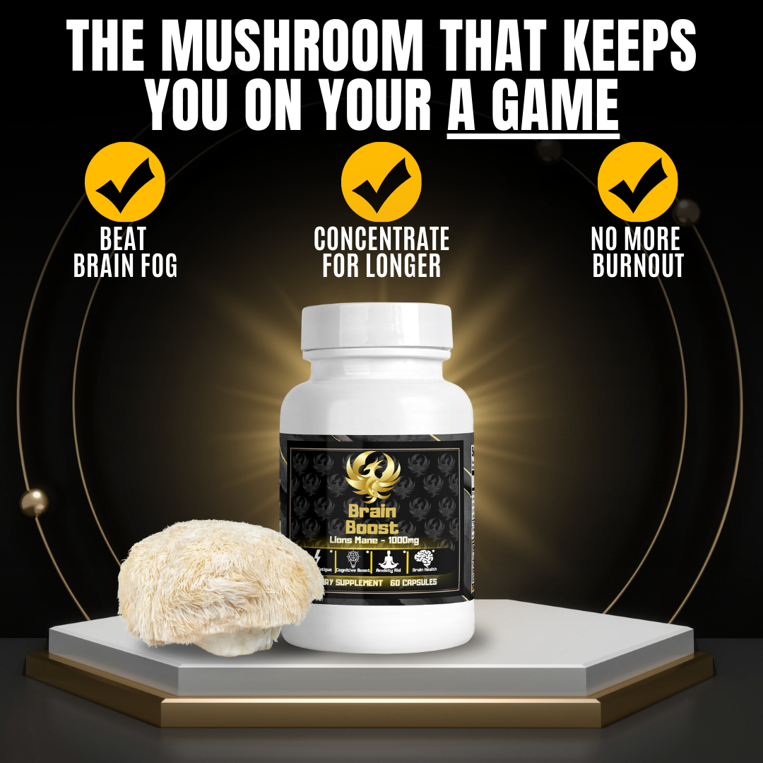 BrainBoost - Lion's Mane Mushroom - Phoenix Supplements