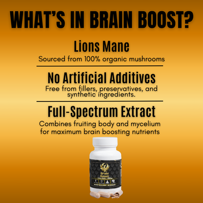 BrainBoost - Lion's Mane Mushroom - Phoenix Supplements